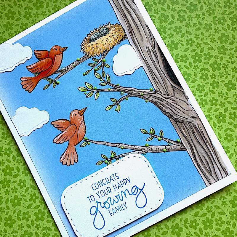 Growing Family by Betsy Birge Growing Family
